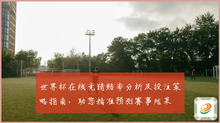 世界杯在线竞猜赔率分析及投注策略指南，助您精准预测赛事结果